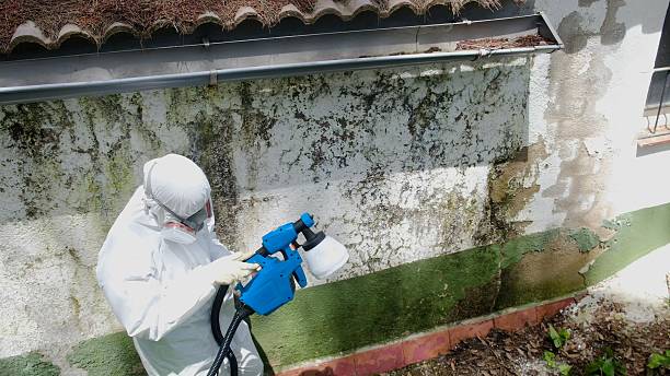 Trusted Commercial Mold Remediation service in Battle Ground, WA - Cheap Mold Removal